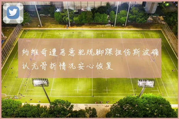 约维奇遭恶意犯规脚踝扭伤斯波确认无骨折情况安心恢复