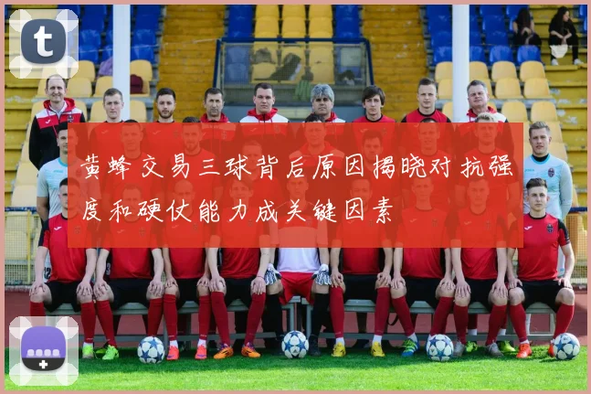 黄蜂交易三球背后原因揭晓对抗强度和硬仗能力成关键因素